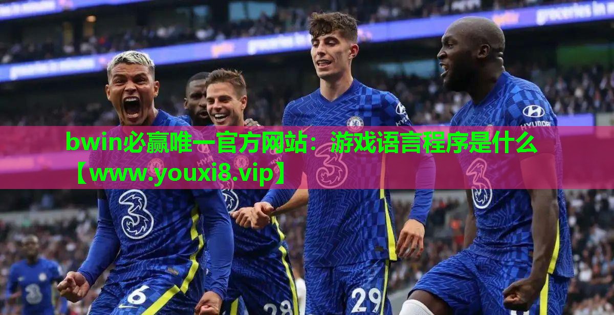 游戏语言程序是什么